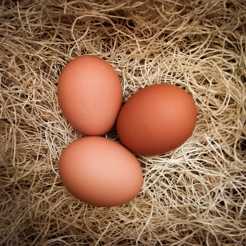three, organic, nature, shell, eggshell, farm, chicken eggs, wellbeing, raw food, 1080P, no people, from above, freshness, poultry, oval, straw, high angle view