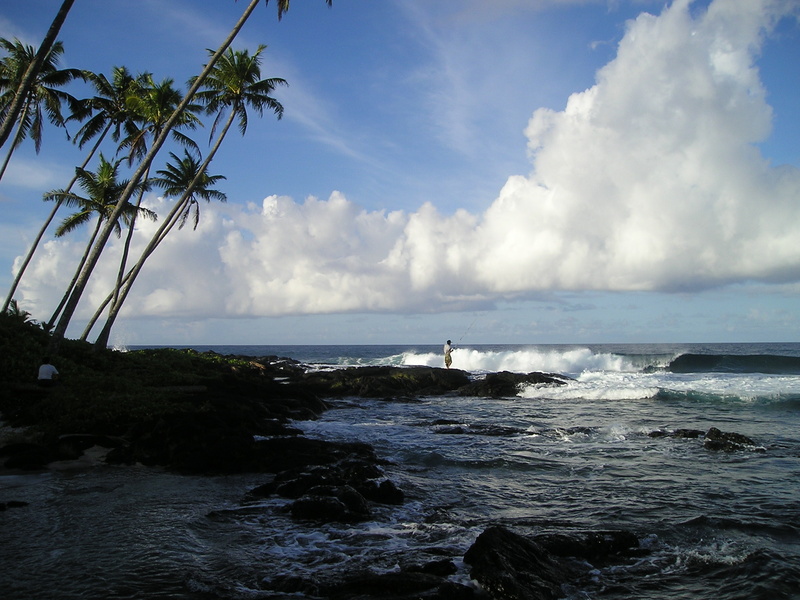 palm trees, cloud - sky, sky, tranquil scene, power in nature, tree, rocks, seawave, sea, day, no people, exotic, horizon over water, land, scenics - nature