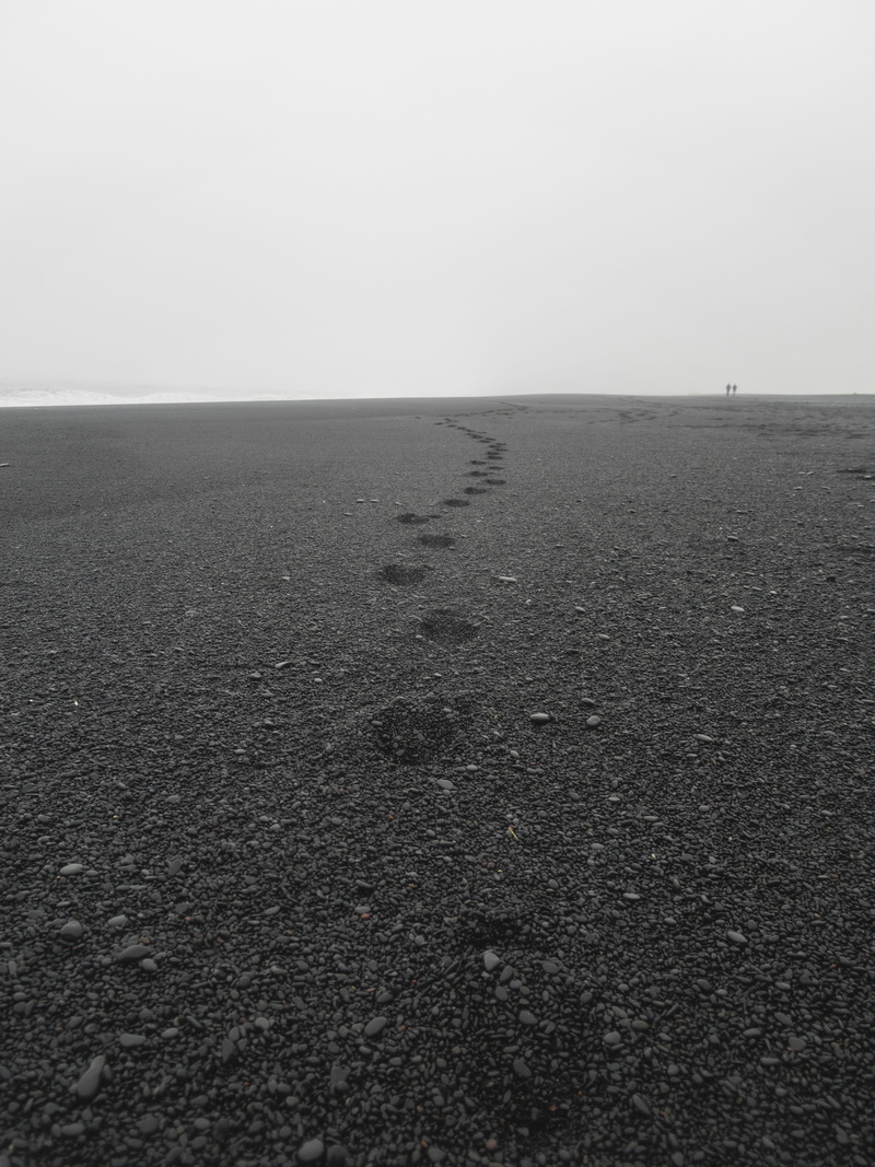 black sand, wilderness, environment, people, land, linear, sand, distance, tranquility, scenics - nature, wild, footprints, reynisfjara black sand beach