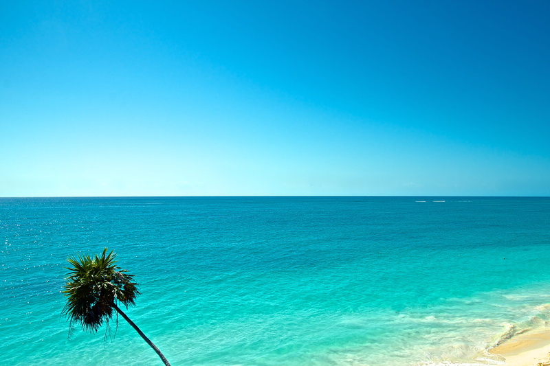 clear sky, beach, sea, tranquil scene, beauty in nature, horizon, minimal, plant, water, copy space, turquoise colored, horizon over water, no people, palm leaf