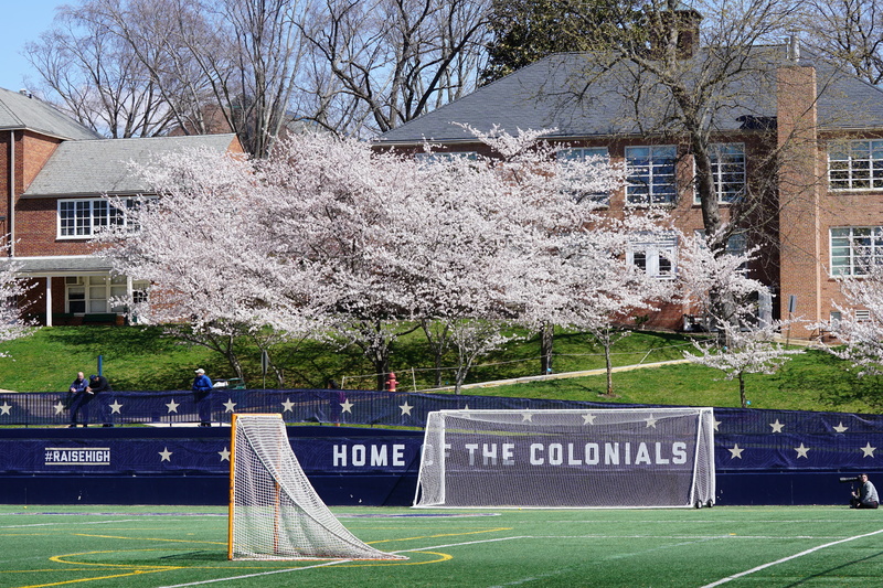built structure, team sport, white, building exterior, people, human, yellow, cherry tree, blossom, day, stadium, sports, park - man made space, text, flower