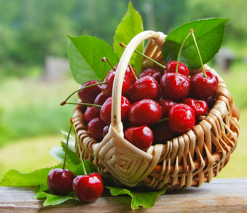green Color, no people, berry Fruit, food, cherry, vitamin, outdoors, dieting, healthy Eating, wellbeing, brown, plant part, table, dessert, sweet Food
