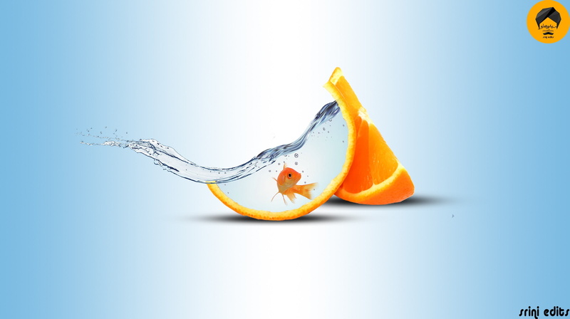 copy space, colored background, orange color, food, citrus fruit, high-speed photography, healthy eating, food and drink, fish, wellbeing, 2K, single object