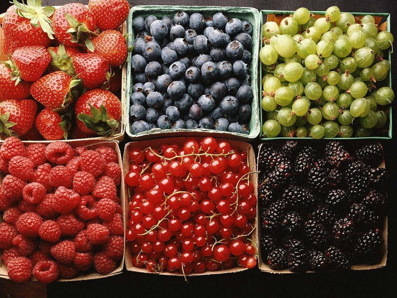 480P, red, choice, container, Gooseberry, healthy eating, large group of objects, variation, cherries (food), freshness, brown, blackberries, retail, high angle view