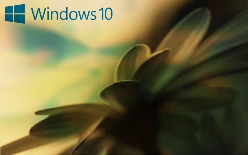 Windows 10, Windows XP, 2K, window, Microsoft Windows, Windows Vista, MS, DOS