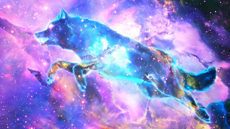 2K, Animal, Fantasy Animals, Space, Nebula, Wolf, Spirit, Stars