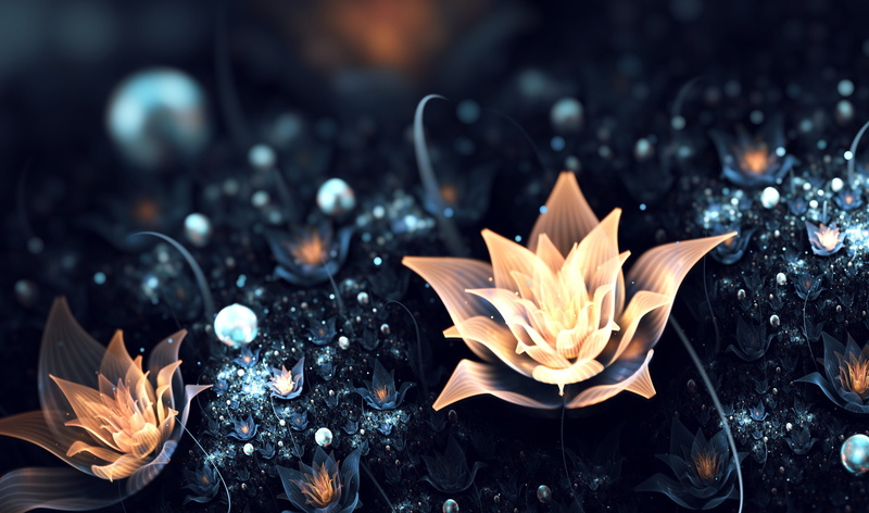 amazing, abstract, petaled, brown, 2K, meadow, flowers, abstraction, light