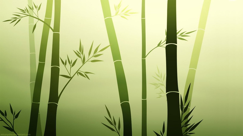 bamboo - plant, leaves, sunlight, plant stem, close-up, beauty in nature, 720P, no people, herb, plant part, nature, growth, green color, leaf, plant
