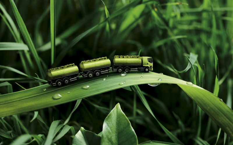 1080P, single Object, day, scale, freight, nature, growth, beauty in nature, leaves, photography, one animal, plant, water, toys, train, green, leaf, land