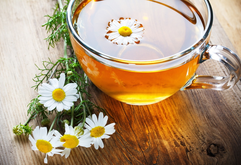Daisy, mug, tea - Hot Drink, summer, close-up, mood, Cup, heat - Temperature, blossom, chamomile, aromatherapy, herbal Medicine, relaxation, no people