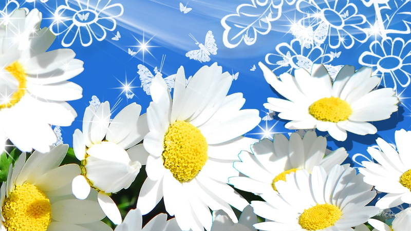 chamomile, silk, spring, firefox persona, flowers, sparkles, summer, 1080P, shadows, stars, white, smoke, shine