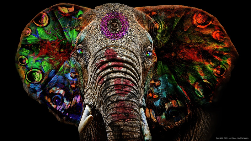 sacred geometry, surreal, 5K, spiritual, metaphysical, Buddha, futuristic, dragon, animals, AI, lotus flowers