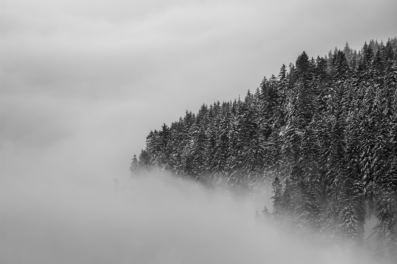 Bayern, Obermaiselstein, landscape, tree, snow, fog, Deutschland, DE, forest, La Mer, greyscale, frozen, foggy, cold, 5K, clouds, mountain, setting, outdoors