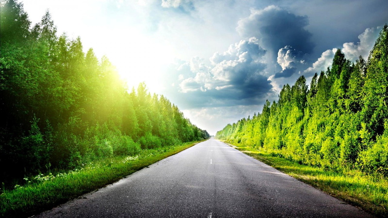 trees, forest, endless, road, 1080P, nature and landscapes, clouds, grove