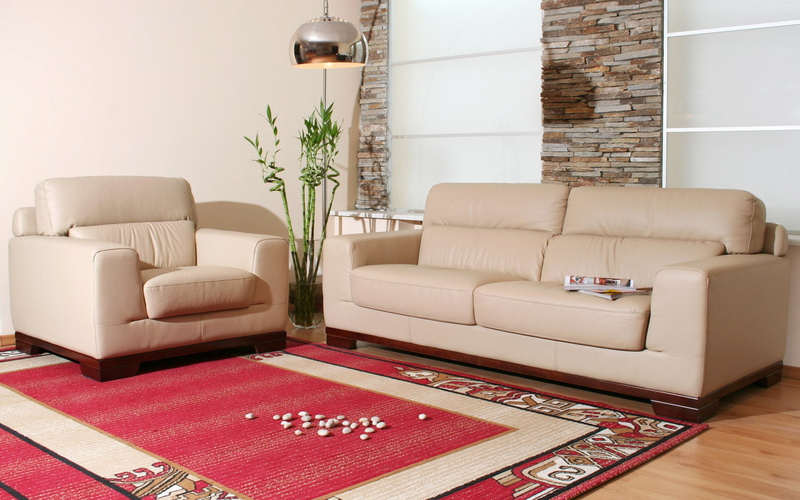 carpets, flowers, interior, sofa, 1080P