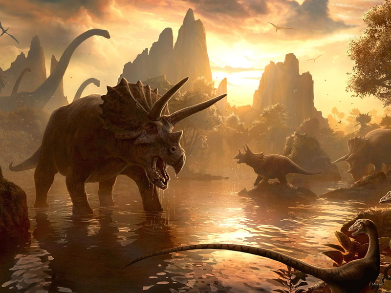 1080P, animals, triceratops, dinosaurs, prhistoric, cretaceous