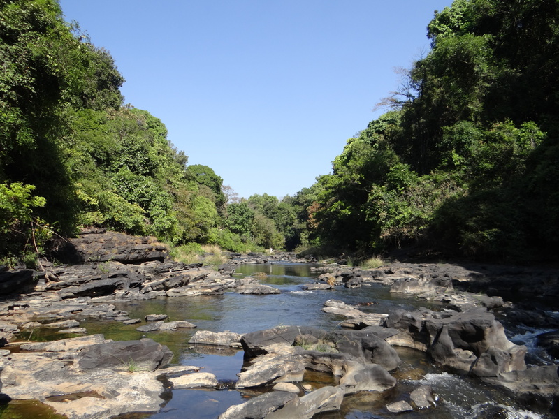 rock - object, tree, nature, picturesque, beauty in nature, non-urban scene, vegetation, stream - flowing water, no people, scenery, solid, water, river bed