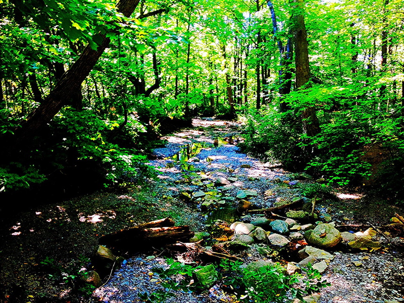 nature and landscapes, highbanks, creek, ohio, riverbed, 1080P
