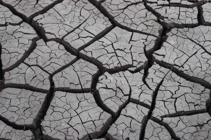 mud flats, dirt, nature, plant, trunk, 5K, no people, beauty in nature, pattern, tranquility, day, landscapes, texture, full frame, ground, riverbed, cracked