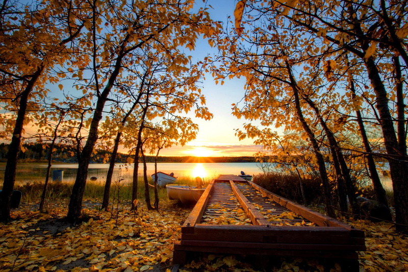sun, leaves, water, lakeshore, lovely, rays, lake, dazzling, sunset, nice, shore, riverbank, fall, beautiful, riverb, 1080P, autumn