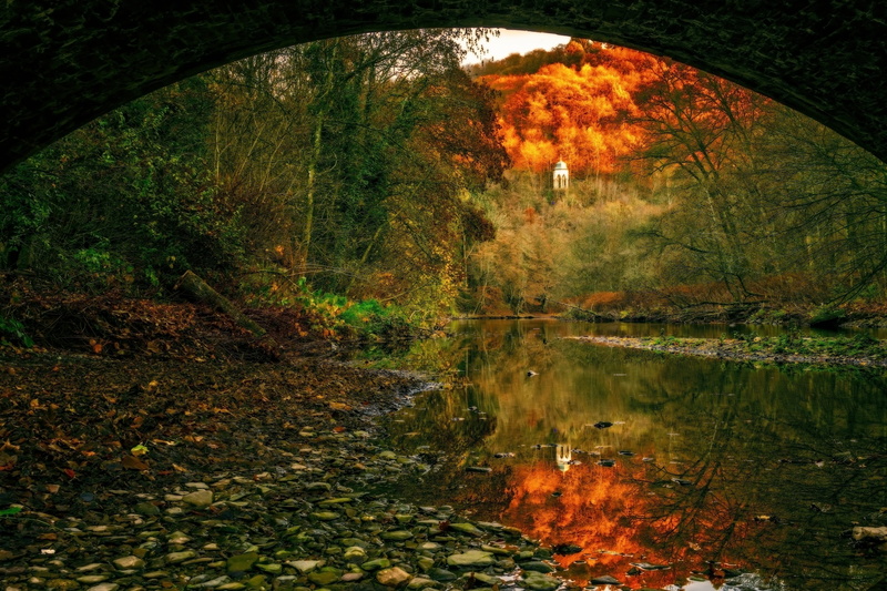 leaf, bank, tranquil scene, change, evening, nature, peaceful, landscape, plant, water, arch bridge, lake, atmosphere, no people, beauty in nature, mirroring