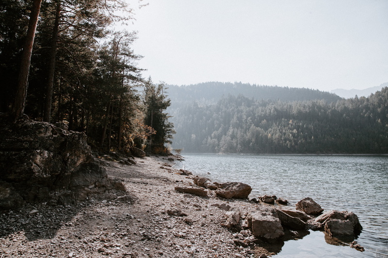 lake, plant, riverbed, pine tree, ground, coniferous tree, rubble, road, solid, pine woodland, no people, austria, rock - object, tree, exploring, non-urban scene