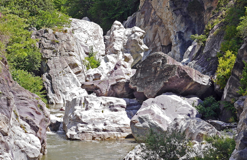 tree, solid, land, alpes maritimes, eroded, formation, eng, rock formation, riverbed, mountain river, south of france, rock, washed, white water, nature