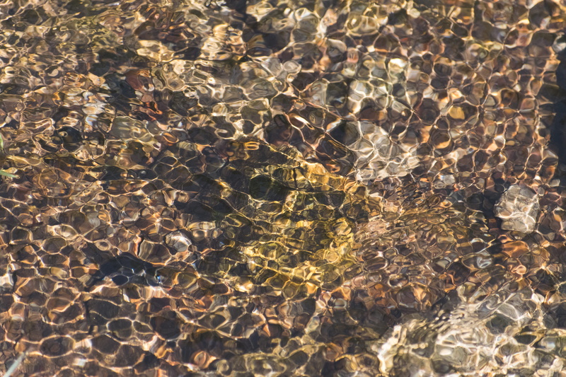 riverbed, surface, river, ooty, 5K, sunlight, empty, gravel, rippled, flow, reflection, flowing, water, day, ripple, copy space, outdoors, nature, india