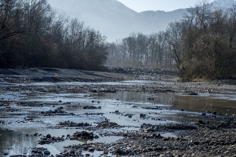 tree, outdoors, landscape, water, beauty in nature, dornbirn, trail, no people, riverbed, snow, oh, stones, mountain, idyllic, land, 1080P, tranquility