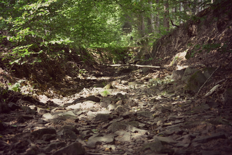 old, riverbed, no people, scenics - nature, 4K, landscape, stone, land, direction, flowing water, non-urban scene, light, woodland, flowing, plant, mystical
