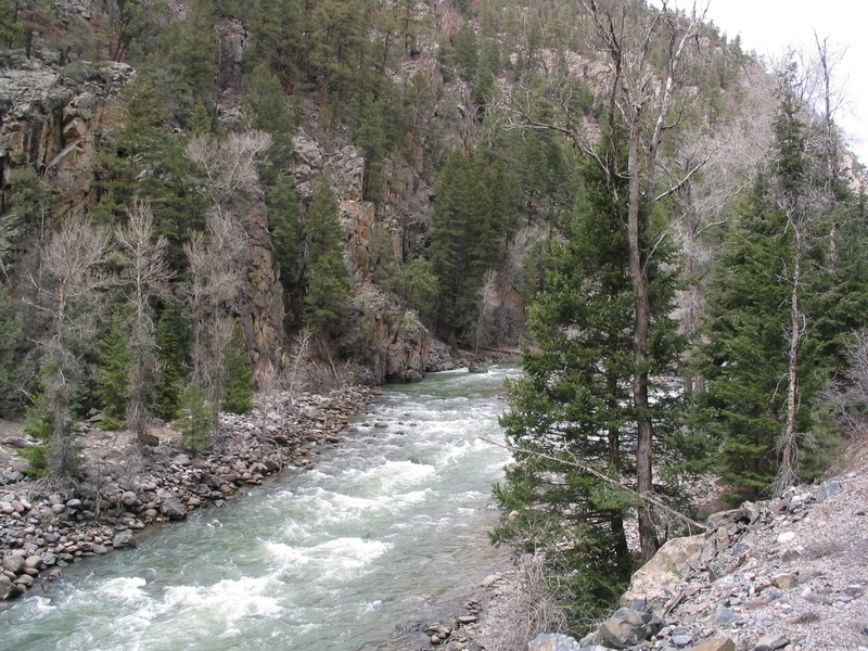 beauty in nature, river, rock, tree, day, non-urban scene, 1080P, nature, tranquility, flowing, trees, tranquil scene, outdoors, forest, rock - object