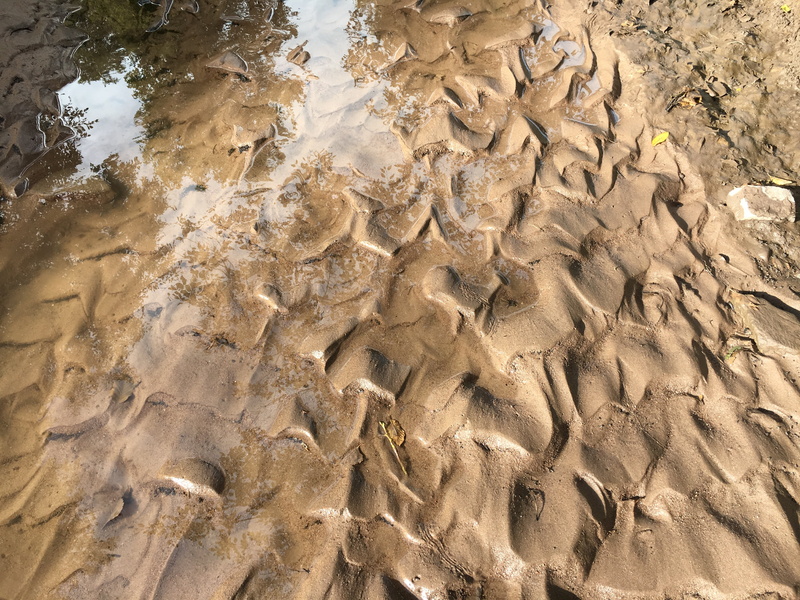 creek, agua, beauty in nature, brown, land, stream, outdoors, day, sand, nature, 4K, water, fractals, high angle view, rock, mud, sunlight, backgrounds