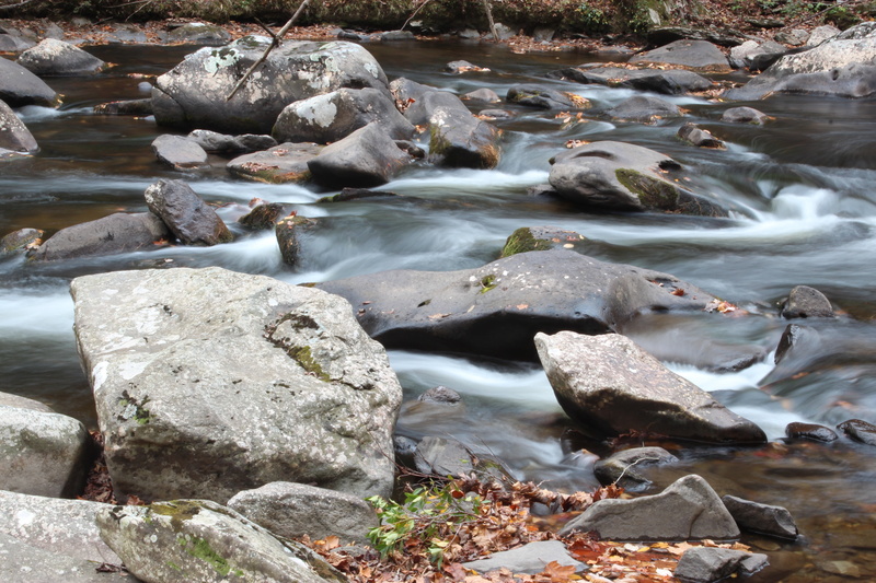 nature, motion, blurred motion, pebble, no people, 5K, land, long exposure, tranquility, forest, water, high angle view, rock - Object, river, rock, scenics - nature