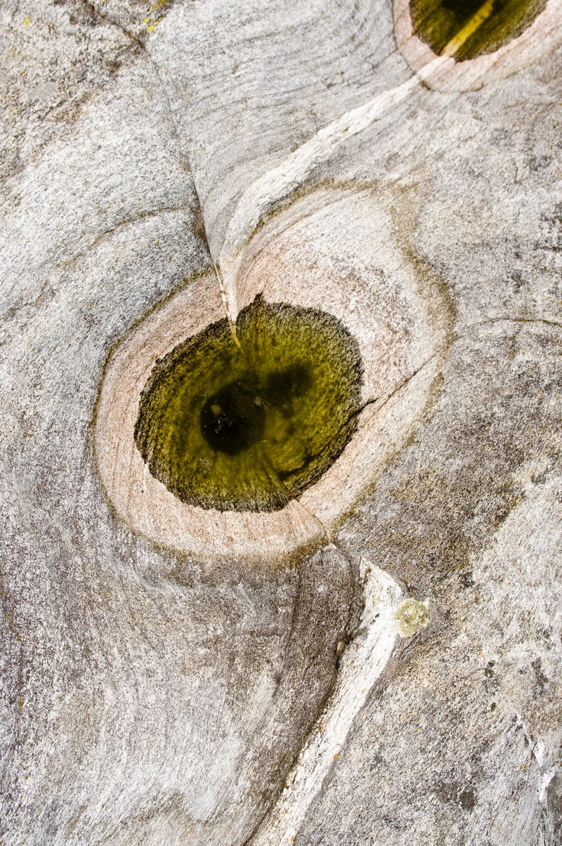 geometric shape, solid, 4K, bark, lines, trunk, shape, tree, tree trunk, about, outdoors, nature, textured, riverbed, district, plant, structure, growth
