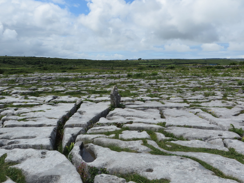 nature, idyllic, growth, tranquil scene, rocks, field, land, europe, ireland, stone, beauty in nature, non-urban scene, landscape, outdoors, plant, sky