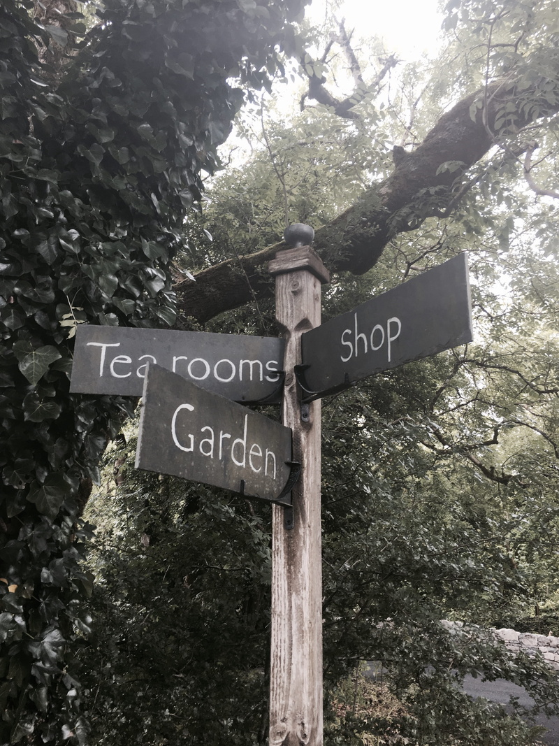tea room, signpost, information, day, sign, wood - material, script, capital letter, outdoors, text, arrow symbol, direction, information sign, nature