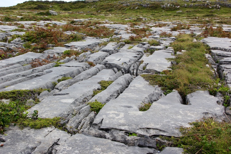 county, outdoors, scenics - nature, rock, ireland, the burren, landmark, cold temperature, tranquility, growth, no people, tranquil scene, day, high angle view