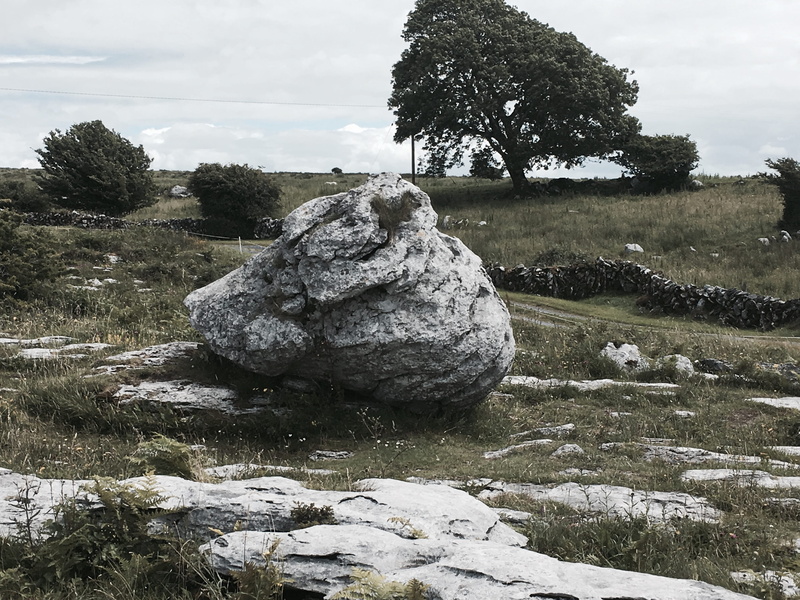 plant, day, tranquility, landscape, rock - object, grass, no people, 4K, water, trees, europe, land, tranquil scene, the burren, tree, solid, stack, rock