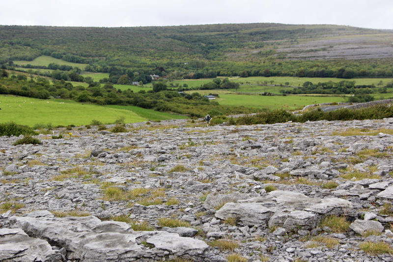 rock, ireland, stone, tranquil scene, water, irish, no people, landscape, tourism, rock - object, beauty in nature, non-urban scene, grass, solid, environment