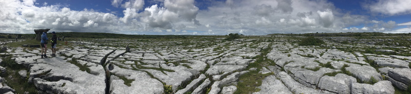plant, nature, field, rock, environment, rural scene, outdoors, scenics - nature, panoramic, pollution, stone, day, sky, beauty in nature, ireland, no people