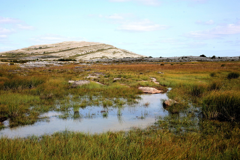 ireland, flora, landscape, wetland, karst, plant, karst-landscape, wilderness, bare, 4K, rural Scene, sky, dramatic, lake, National Park, land, tranquility