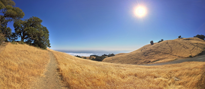 gold, tranquil scene, landscape, hills, scenics - nature, california, land, day, tranquility, no people, grass, yellow, environment, headlands, travel