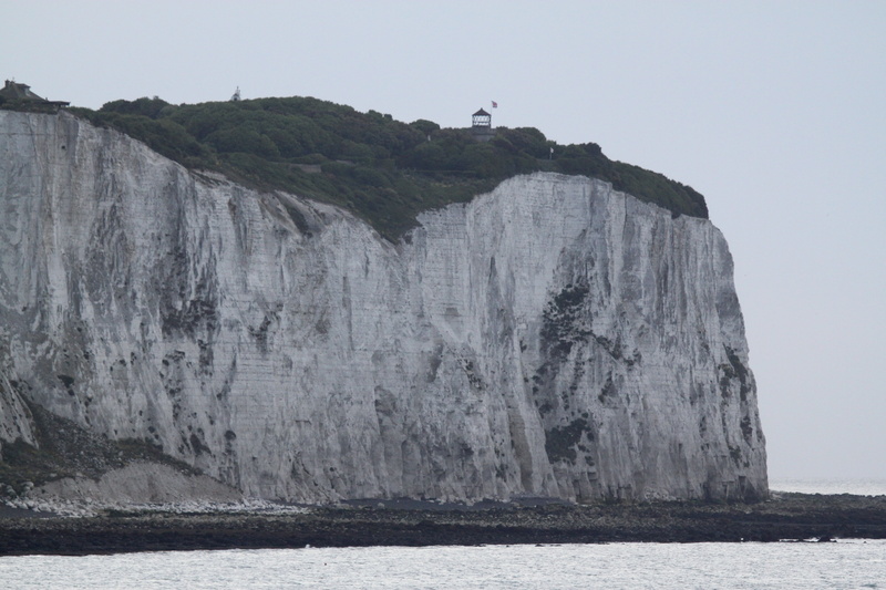 rock, rock formation, bird, land, coast, cliffs, beauty in nature, tranquil scene, tranquility, eroded, seagull, 4K, path, outdoors, environment, cliff