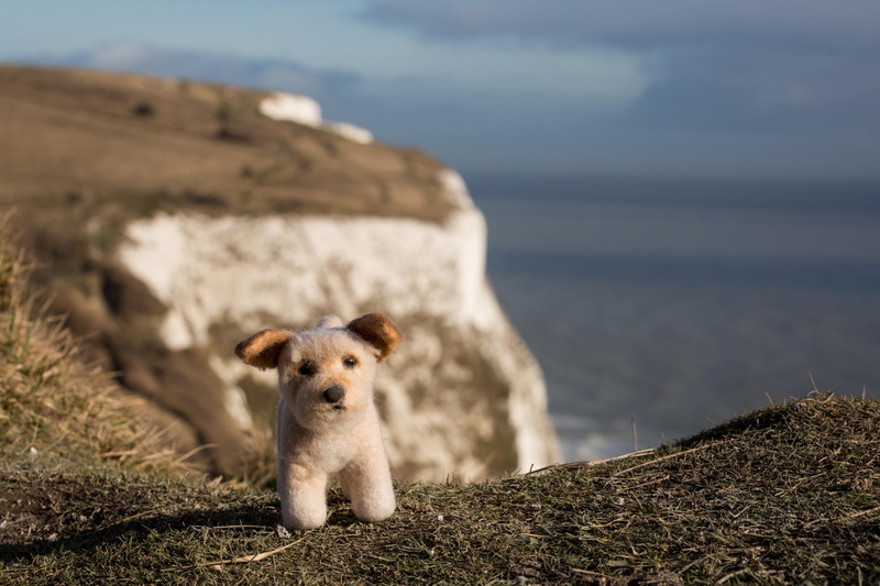 England, nature, cliff, closeup, Depth Of Field, Cliffs Of Dover, landscape, toys, UK, 1080P, dog, sea, Coastline