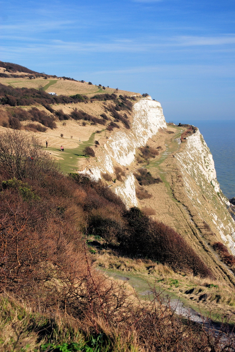scenics, rock - Object, scenic, outdoor, environment, natural, 4K, growth, wild, uK, beauty in nature, tranquil, water, sunlight, White Cliffs, coastline