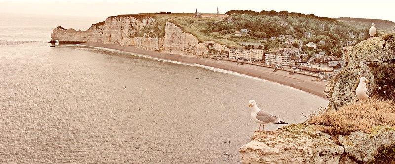 holiday, foot soldiers, normandy, seagull, nature, built structure, land, historically, storms, june, rock - object, landing, sky, us, animals in the wild