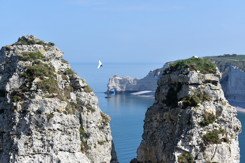 rocky coastline, hollow needle, needle, ocean, hang gliding, normandy, land, animal wildlife, scenics - nature, sky, no people, vertebrate, cliffs, flying