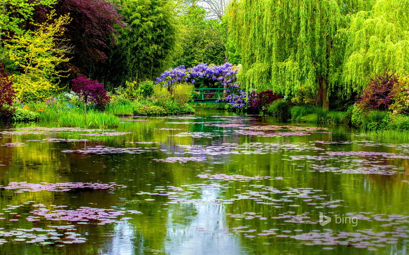 lush Foliage, reflection, tranquility, pond, green, lake, waterfront, multi Colored, summer, formal Garden, France, outdoors, leafed, beauty In Nature