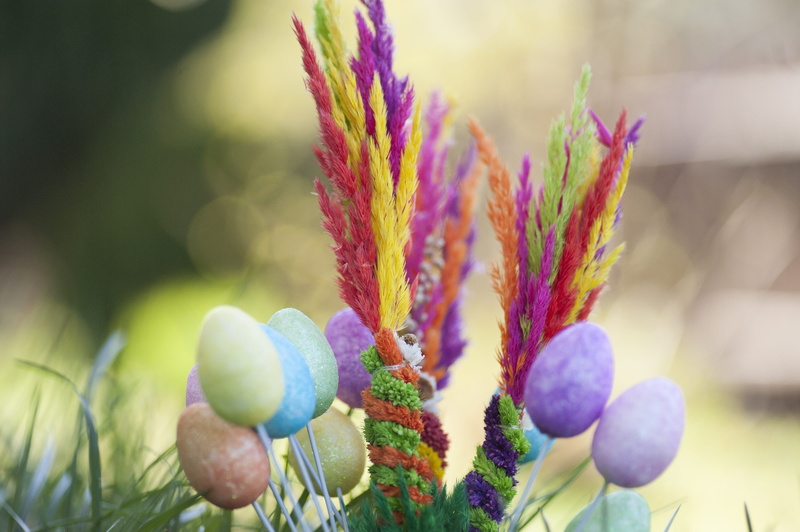 flowering plant, catholics, fragility, eggs, selective focus, close-up, symbol, christianity, palm, sunday, purple, catholic, flower, religion, easter
