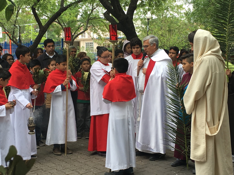 arts culture and entertainment, tree, plant, togetherness, religion, group of people, spirituality, palm sunday, large group of people, women, real people